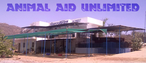 Animal Aid Unlimited | UdaipurBlog