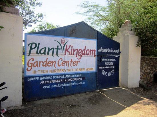 Plant Kingdom Udaipur