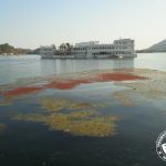 Ugly state of Lake Pichola near Hotel Taj Lake Palace
