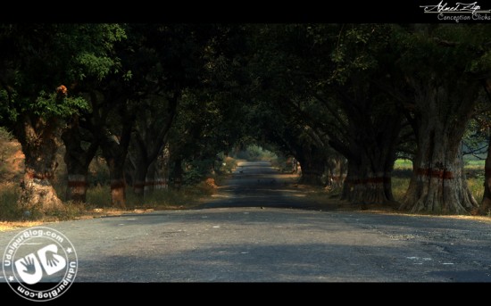 Bhangarh - Ahmed Ziya - http://www.facebook.com/ConceptionClicks