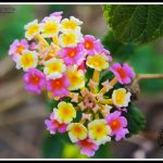 Photograph 1 - Shreyas Jain