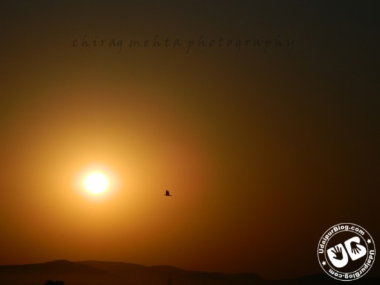 Sunrise - Chirag Mehta