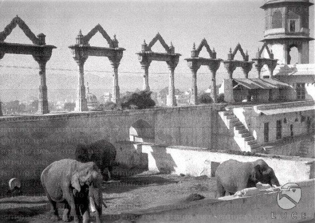 Udaipur Il palazzo del maharaja