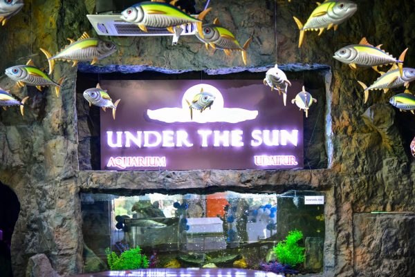Fish Aquarium Udaipur