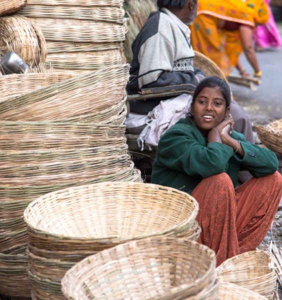 The Bamboo Basket Makers of Udaipur