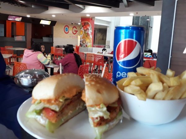 5 Alternative Places That Can Replace Mc Donald’s in Udaipur