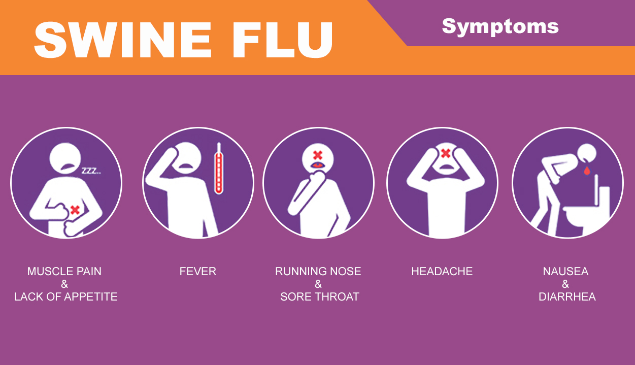 Combating Swine Flu - Myths, Symptoms, and Precautions