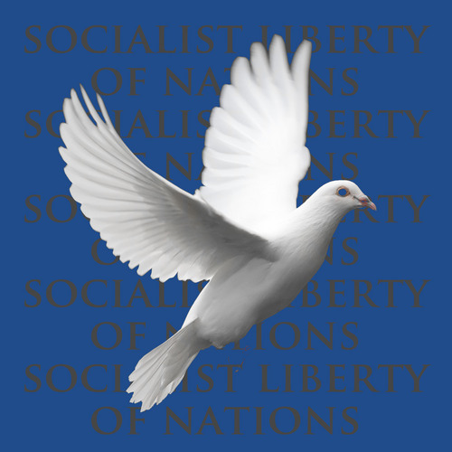 Social Liberty