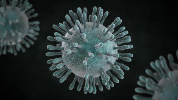 Coronavirus