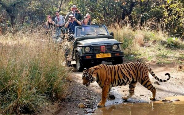 Ranthambore National Park