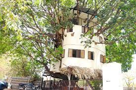 Interesting facts about Udaipur- Mango tree House
